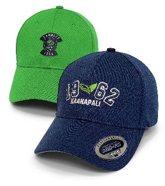 Technics Baseball Cap in Green Official Merchandise 