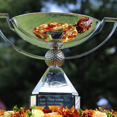 FedEx Cup Playoffs Format