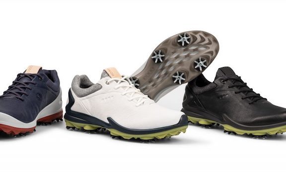 News Round Up January 11 2019 - ECCO Natural Motion Technology Release