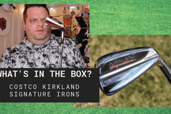 WITB - Costco Golf Irons