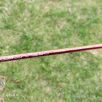 Newton Fast Motion 8